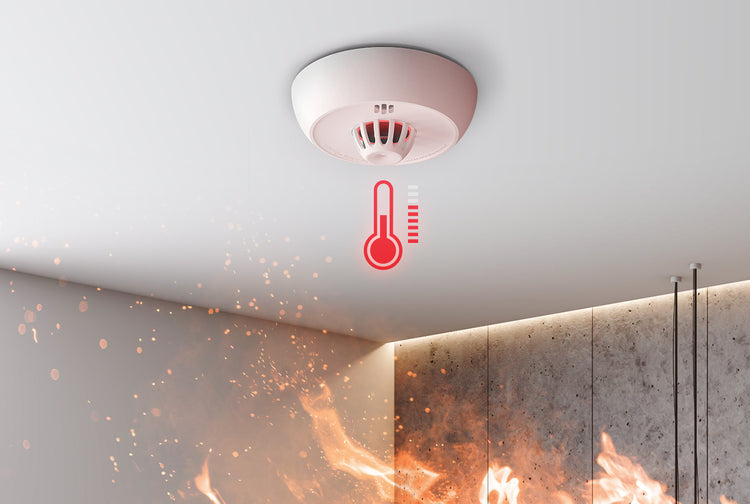 Compact Design, Powerful Performance