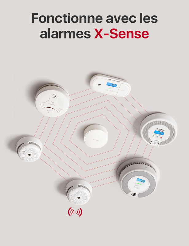 X- Sense SWS51 Détecteur d'eau intelligent avec WiFi - Fonctionne avec  l'application 