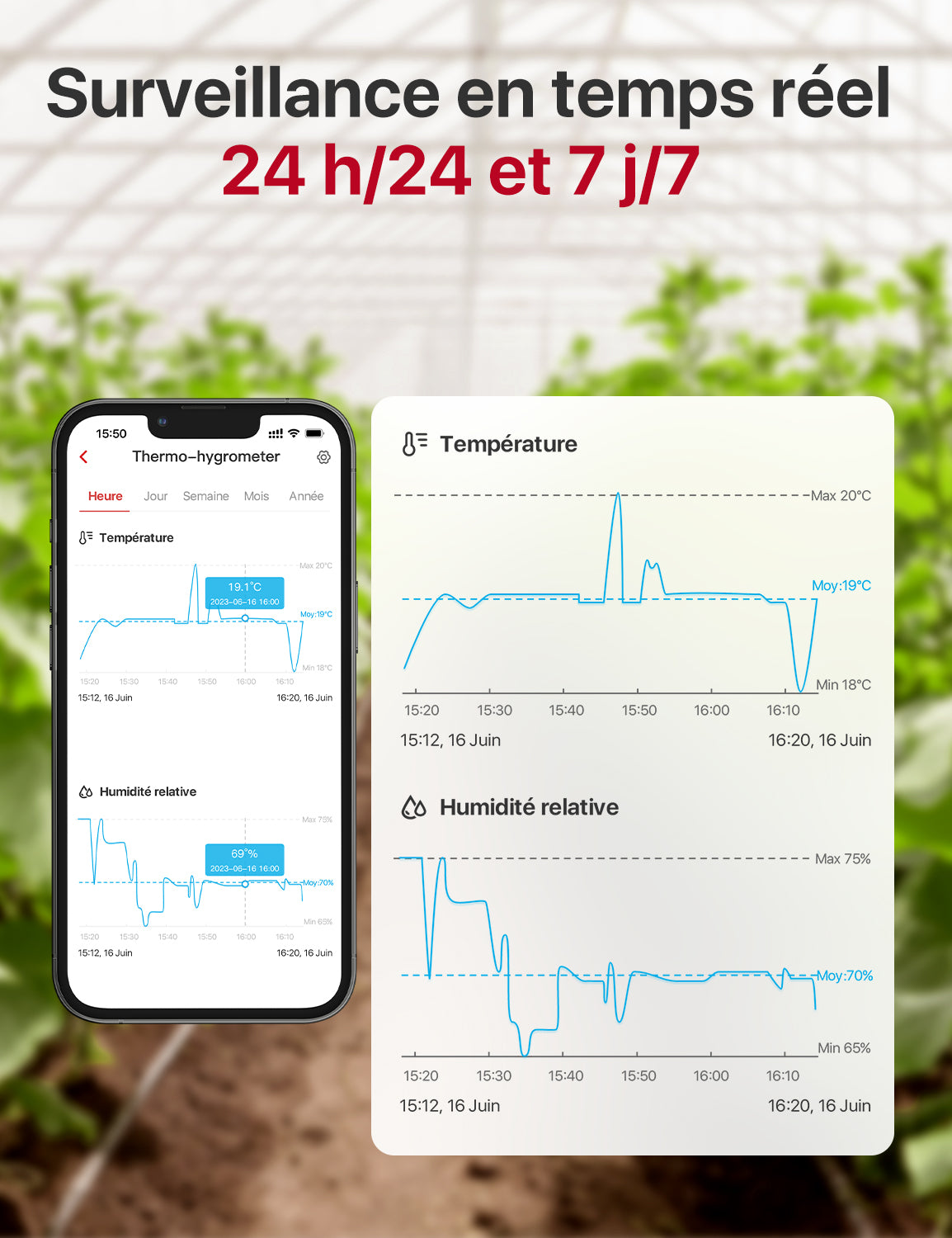 X-Sense WiFi Thermomètre Hygromètre Intérieur, STH51 & STH54 & STH55