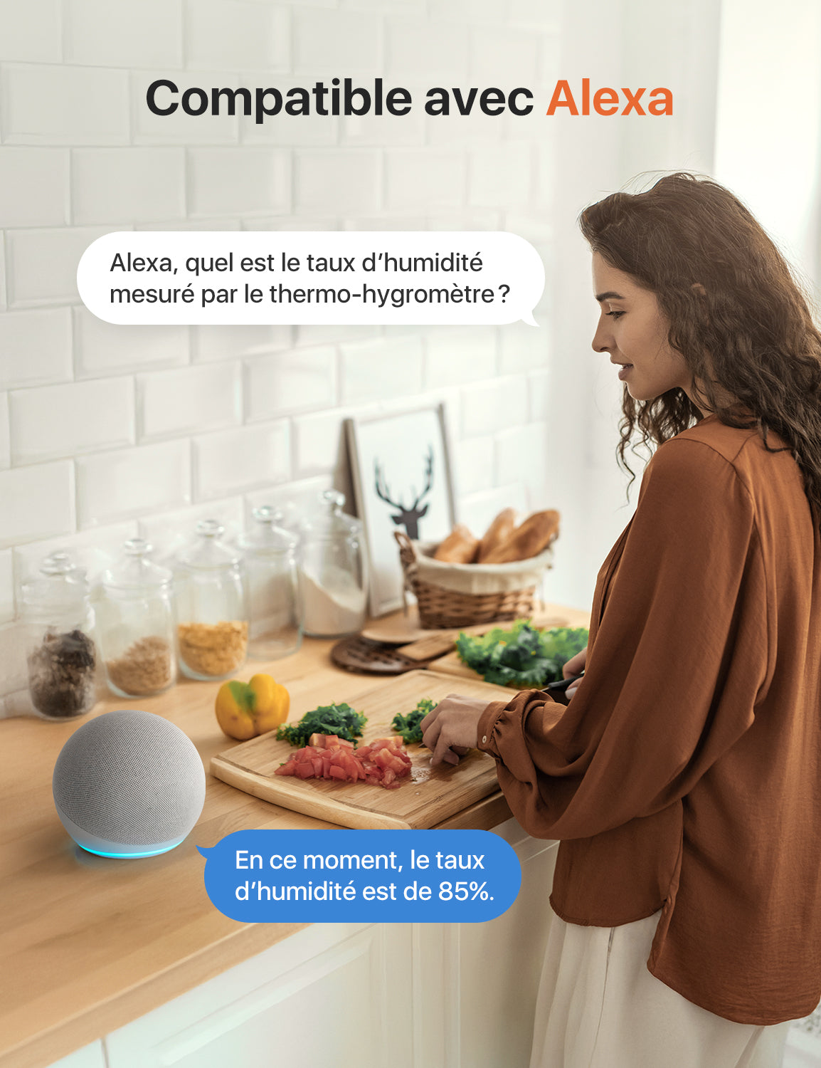 Thermomètre-Hygromètre Intelligent WiFi avec Écran LCD, STH0A