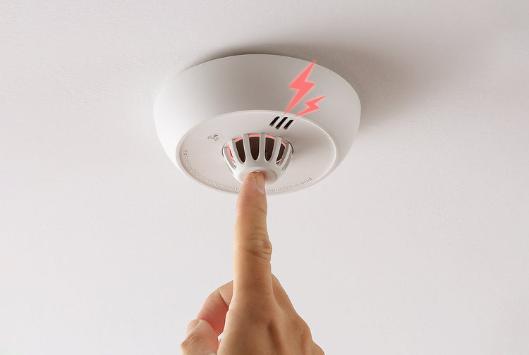 Compact Design, Powerful Performance